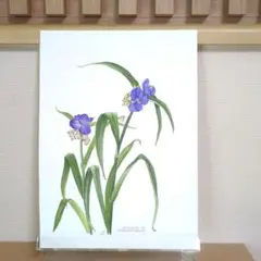 つゆくさ出品 imgrc0110931104.jpg