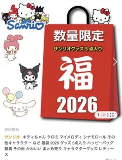 サンリオ ハッピーバッグ 2026 限定5点入り