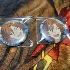 2025年最新】三毛縞斑 缶バッジ まとめ売りの人気アイテム - メルカリ