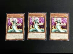 【即日配送】遊戯王　ラミア　ノーマル　3枚セット