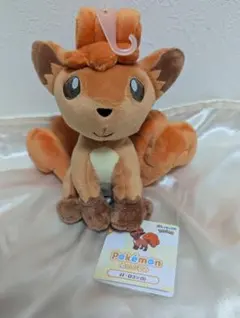 ポケモンセンター ポケモンキャンバス ヒトカゲ ぬいぐるみ - メルカリ