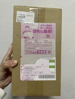 ポケモンセンターフクオカ スペシャルBOX 未開封品