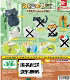 ねこあつめ2　めじるしアクセサリー2　くろねこ　しろおっど　きじとら