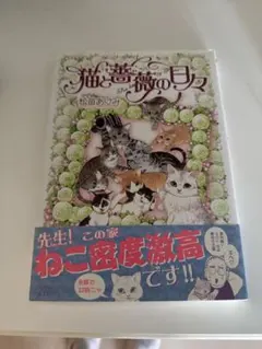 Item thumbnail for item 26fe88b5-2405-4651-9c4e-cbeb994e8ff4