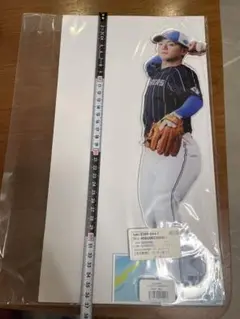 ジャンボアクリルスタンド　未開封　日本ハムファイターズ　郡司裕也