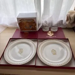 未使用⭐︎東京ディズニーシー ミラコスタ 10回宿泊記念食器2枚セット