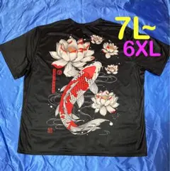 Item thumbnail for item 633e1a66-77e0-4c49-8003-69b27aceeede