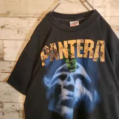 90's PANTERA バンドロンT パンテラ ボロ 古着 ヴィンテージ 90's PANTERA バンドロンT パンテラ ボロ 古着 ヴィンテージ - メルカリ