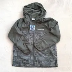 Item thumbnail for item 8ea80133-30ea-4794-8b0d-9ac516544b83