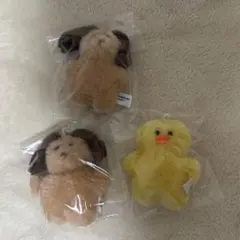 mojojo 3点セット