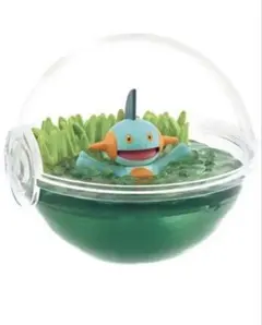 リーメントポケモン　6ヌマクロー テラリウムコレクション12