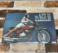 いっしー様 リクエスト 2点 まとめ商品