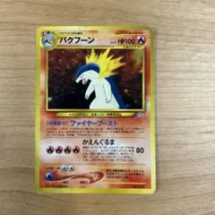 バクフーン_プレミアムファイル PROMO 第1世代 1996~1999 バクフーン_プレミアムファイル PROMO 第1世代 1996~1999 - メルカリ