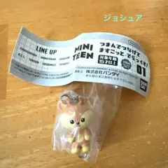 2026年最新】ミニティーン seventeen ジョシュアの人気アイテム - メルカリ