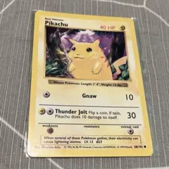 2026年最新】(cd)みんなで選んだポケモンソング&ポケモンカード