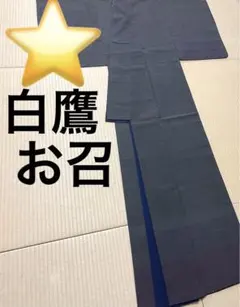 洗える紗道行‼︎ 長尺反誂え 夏物コート 裄74.5 トールサイズ - メルカリ