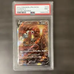 2026年最新】エンテイvの人気アイテム - メルカリ