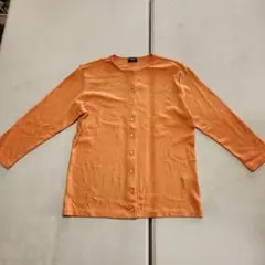 Item thumbnail for item c6dc97d0-d94d-4f0b-9d35-38453a4d0d98