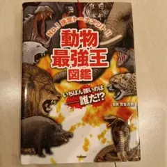 DEN様 リクエスト 2点 まとめ商品