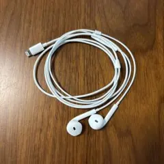 Apple純正　lightning EarPods