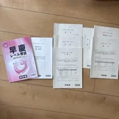 2026年最新】早慶レベル模試の人気アイテム - メルカリ