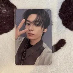 アコーディオン　リノ　do it スキズ　封入　トレカ