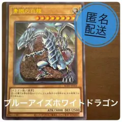 2026年最新】ブルーアイズホワイトドラゴン 美品の人気アイテム - メルカリ