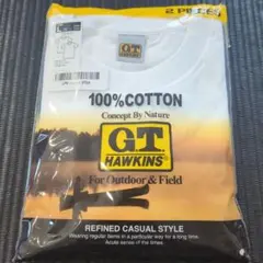 グンゼ インナー G.T.HAWKINS 綿100% Tシャツ 2枚組 メンズ