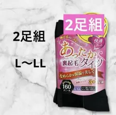2足組み　あったか裏起毛タイツ 160デニール L-LL