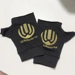 2026年最新】UVERworld グローブの人気アイテム - メルカリ