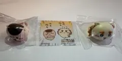 CoCo壱ステッカー・指輪