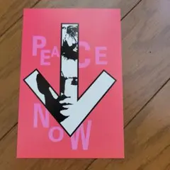 Item thumbnail for item 724ee767-42db-4d1a-8e04-4f7189c9e5c5