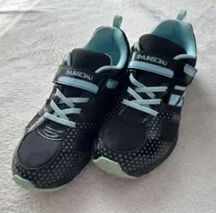 Item thumbnail for item c622537d-26a7-4443-a555-a768a706f48c