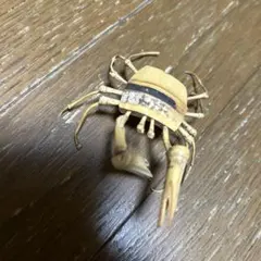 Item thumbnail for item d3023ed9-8faf-486c-adb9-ac774e3a6435