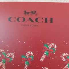 COACH2022 白いお皿で おもてなしのサムネイル