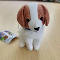 コーイケルホンディエのおでこちゃん おすわりマスコット