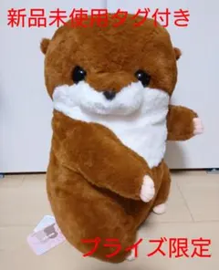 2025年最新】くったりカワウソの赤ちゃん ハグハグの人気