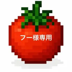 フー様専用です‼️熊本県産　農家直送　訳ありトマト9kg以上