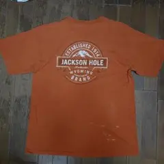 ギルダンGILDAN社ジャクソンホールJackson Holeロゴ半袖TシャツL