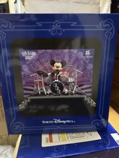 【未使用品】ディズニーシー　BBBフィギュア【美品】