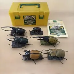 立体図鑑　カロラータ　カブトムシ　計6体　リアルフィギュア