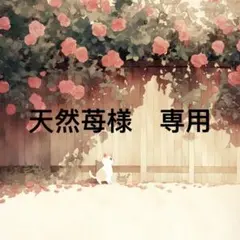 Item thumbnail for item 4b067559-6f55-49e2-9673-052d4221d9ee