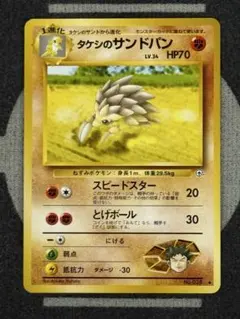 【10点2500円引き】タケシのサンドパン