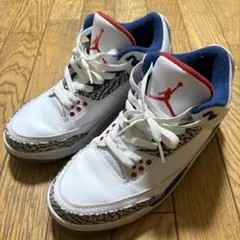 Nike Air Jordan 3 