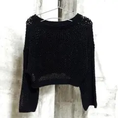 INGNI メッシュ編み ショート丈ニット ブラック 透け感 クロップド