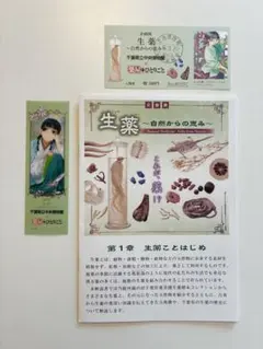 薬屋のひとりごと　千葉県立中央博物館