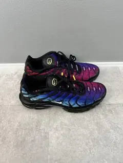 ［28.5］Nike Air Max Plus 25th anniversary