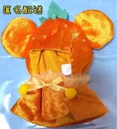 ディズニーストア　ユニベアシティ　シークレットポンチョ　フルーツ　オレンジ　橙