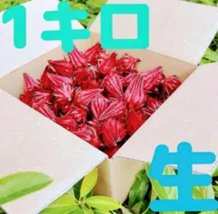 Item thumbnail for item c4d11ed8-cf7e-4bfa-8e2a-4ba30ff719e7