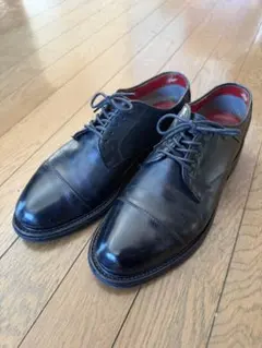 Regal shoe & co ドレスシューズ 25 gore-tex.